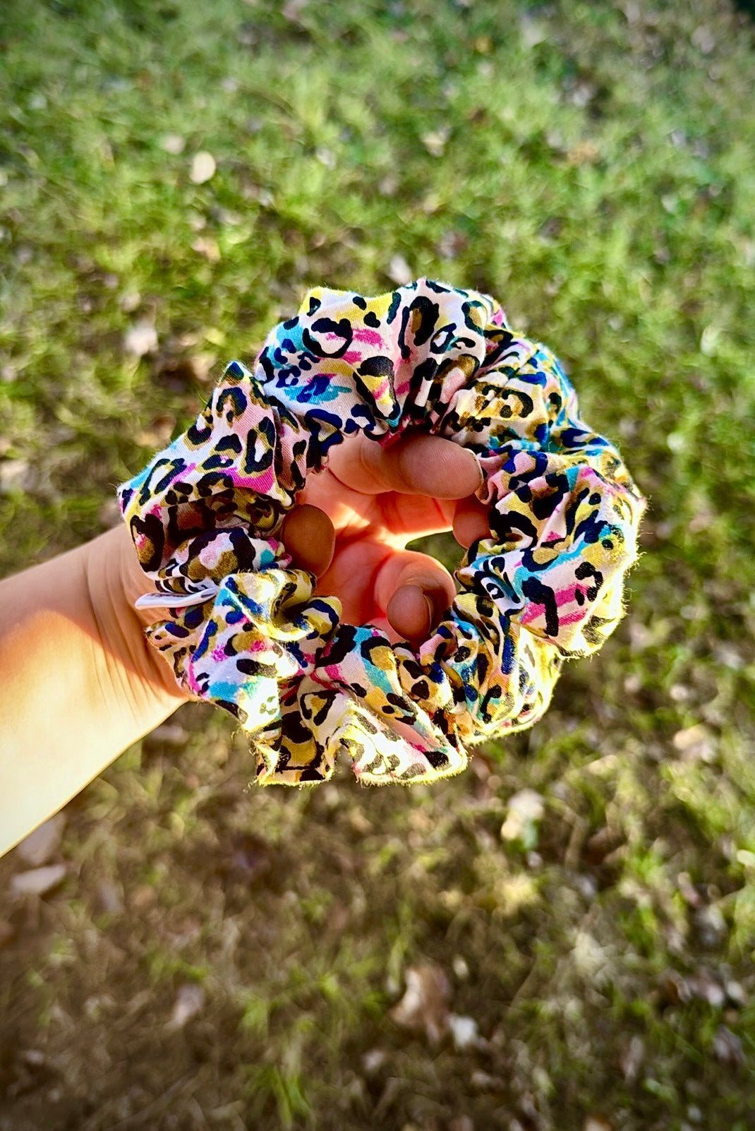 Cheetah Rainbow (Regular)