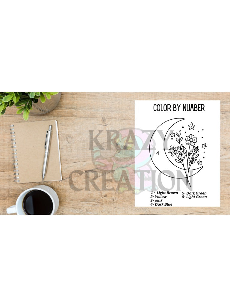 Moon Color By Number (Shipped to you)