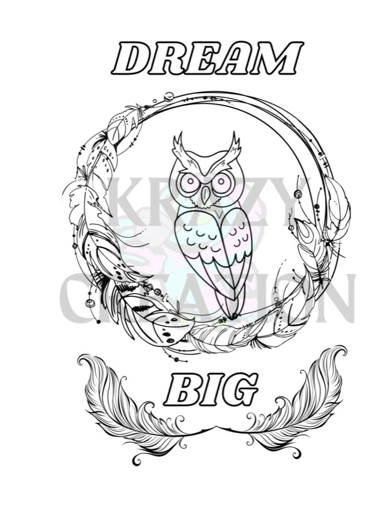 Owl Coloring Page (Shipped to you)