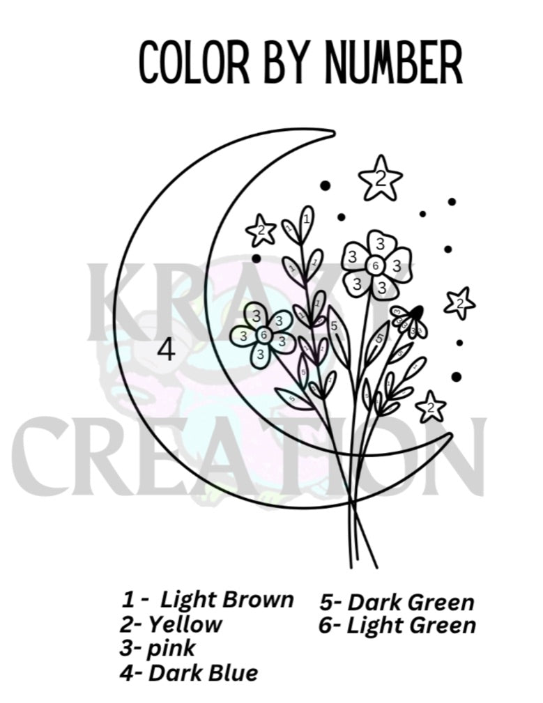 Moon Color By Number (Shipped to you)
